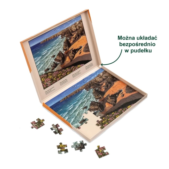 Terapia demencji puzzle Relish wybrzeże i skały